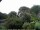 Webcam in Audley, 8.9 km