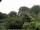 Webcam in Audley, 73.5 km