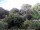 Webcam in Audley, 34.2 mi away