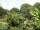 Webcam in Audley, 23.7 mi away
