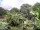 Webcam in Audley, 70.6 km