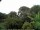 Webcam in Audley, 17.8 mi away