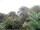 Webcam in Audley, 7.5 mi away