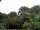 Webcam in Audley, 16.5 mi away