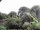 Webcam in Audley, 58.9 km
