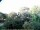Webcam in Audley, 123.1 km