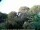 Webcam in Audley, 9.4 mi away