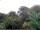 Webcam in Audley, 19.2 km