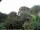 Webcam in Audley, 88.5 km