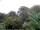 Webcam in Audley, 19.2 km