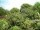 Webcam in Audley, 31.3 mi away