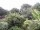 Webcam in Audley, 25.7 mi away