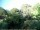Webcam in Audley, 42.8 km