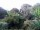 Webcam in Audley, 77.9 km