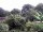 Webcam in Audley, 7.5 mi away