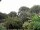 Webcam in Audley, 23.7 mi away