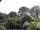 Webcam in Audley, 70.6 km