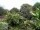 Webcam in Audley, 123.1 km