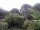 Webcam in Audley, 11.1 mi away
