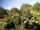 Webcam in Audley, 16.8 mi away