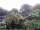 Webcam in Audley, 23.1 mi away