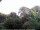 Webcam in Audley, 27.3 mi away