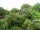 Webcam in Audley, 50.2 mi away