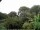 Webcam in Audley, 61.5 km