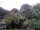Webcam in Audley, 18.3 mi away