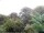 Webcam in Audley, 130.2 km entfernt