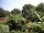 Webcam in Audley, 18.3 mi away