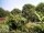 Webcam in Audley, 48.9 km