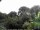 Webcam in Audley, 123.1 km entfernt