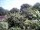 Webcam in Audley, 9.4 mi away