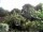 Webcam in Audley, 11.1 mi away
