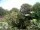 Webcam in Audley, 147.8 km