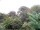 Webcam in Audley, 34.2 mi away