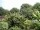 Webcam in Audley, 24.3 km