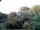 Webcam in Audley, 58.9 km entfernt