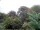 Webcam in Audley, 28.8 km entfernt