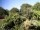 Webcam in Audley, 47.7 mi away