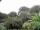 Webcam in Audley, 27.3 mi away