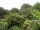 Webcam in Audley, 103.8 km entfernt