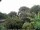 Webcam in Audley, 20.6 mi away
