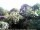 Webcam in Audley, 18.3 mi away
