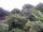 Webcam in Audley, 61.5 km