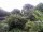 Webcam in Audley, 42.8 km