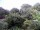 Webcam in Audley, 49.1 km
