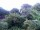 Webcam in Audley, 73.5 km entfernt