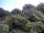 Webcam in Audley, 19 mi away